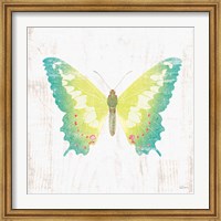 White Barn Butterflies III Fine Art Print