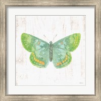 White Barn Butterflies II Fine Art Print