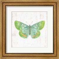White Barn Butterflies II Fine Art Print