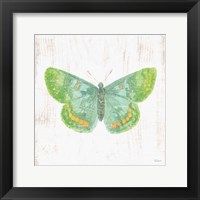 White Barn Butterflies II Framed Print