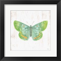 White Barn Butterflies II Framed Print