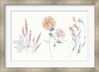 Flowers on White VIII Contemporary Bright Fine Art Print
