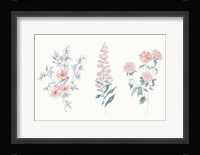 Flowers on White IX Contemporary Bright Framed Print