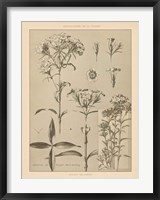 Lithograph Florals III Fine Art Print