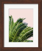 Tropical Leaves on Blush I Fine Art Print