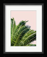 Tropical Leaves on Blush I Framed Print