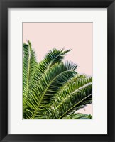 Tropical Leaves on Blush I Fine Art Print