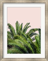 Tropical Leaves on Blush II Fine Art Print