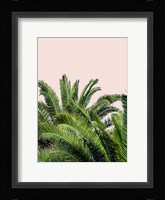 Tropical Leaves on Blush II Framed Print
