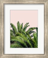 Tropical Leaves on Blush II Fine Art Print