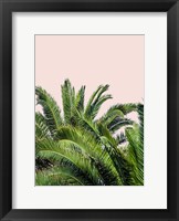 Tropical Leaves on Blush II Fine Art Print