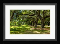 Boone Hall Fine Art Print