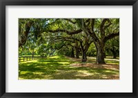 Boone Hall Fine Art Print