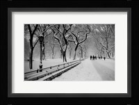Central Park Snow Fine Art Print