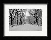 The Mall Washington DC Fine Art Print