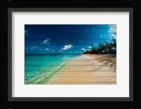 Cayman Islands Beach on Wood Fine Art Print