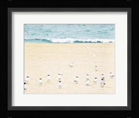 Relaxed Seagulls Fine Art Print
