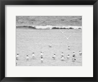 The Coastline Flock Fine Art Print