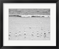 The Coastline Flock Fine Art Print