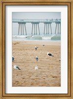 Seagull Coast Fine Art Print