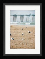 Seagull Coast Fine Art Print
