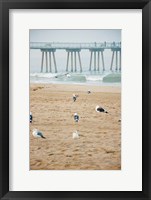 Seagull Coast Fine Art Print