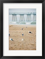 Seagull Coast Fine Art Print