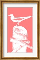 Perching Seabird I Fine Art Print