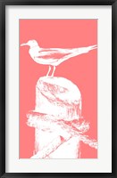 Perching Seabird I Fine Art Print