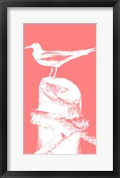 Perching Seabird I Framed Print
