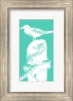 Perching Seabird II Fine Art Print