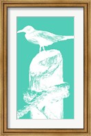 Perching Seabird II Fine Art Print