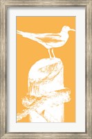 Perching Seabird III Fine Art Print