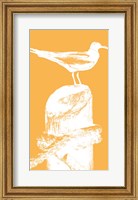 Perching Seabird III Fine Art Print