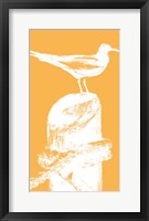 Perching Seabird III Framed Print