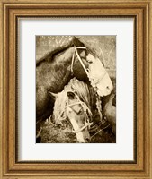 Vintage Horses Fine Art Print