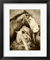 Vintage Horses Fine Art Print