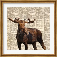 Country Moose I Fine Art Print