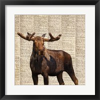 Country Moose I Fine Art Print