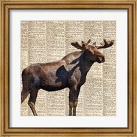 Country Moose II Fine Art Print