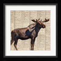 Country Moose II Fine Art Print