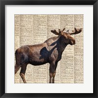 Country Moose II Fine Art Print