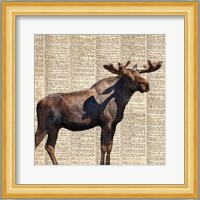 Country Moose II Fine Art Print