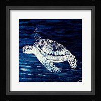 Swim Along I Framed Print