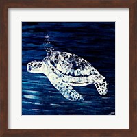 Swim Along I Fine Art Print