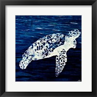 Swim Along II Fine Art Print