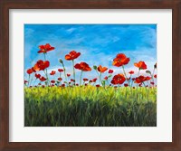 Wild Poppies Fine Art Print