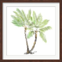 Palm Tree on White I Fine Art Print