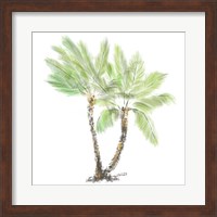 Palm Tree on White I Fine Art Print
