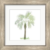 Palm Tree on White II Fine Art Print